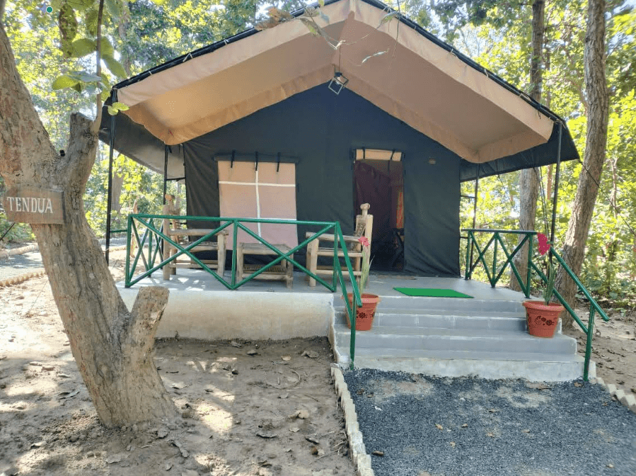 Delux Safari Tent - Kanha 2