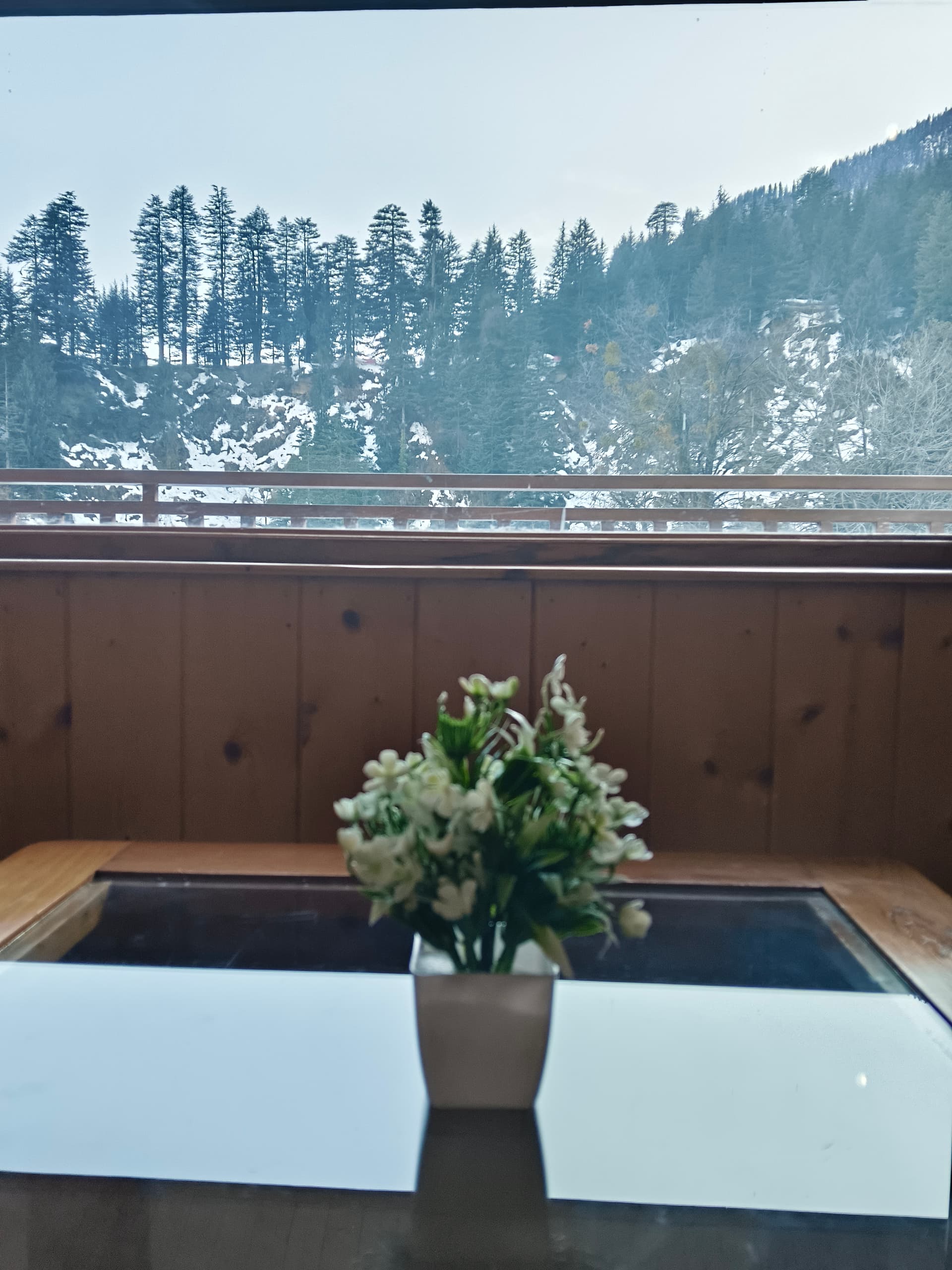 Cozy stay in Old Manali 5